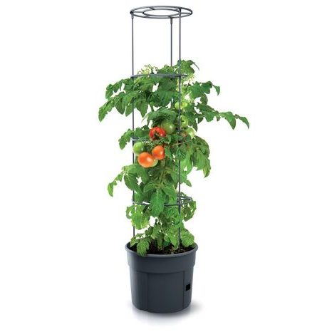 Květináč na pěstování rajčat TOMATO GROWER Prosperplast, antracit - 3
