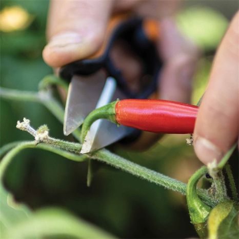 Nožnice na bylinky Fiskars Solid SP 220 1063326 - 6