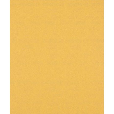 Brusný papír Bosch EXPERT C470 230 x 280 mm P120 2608900961