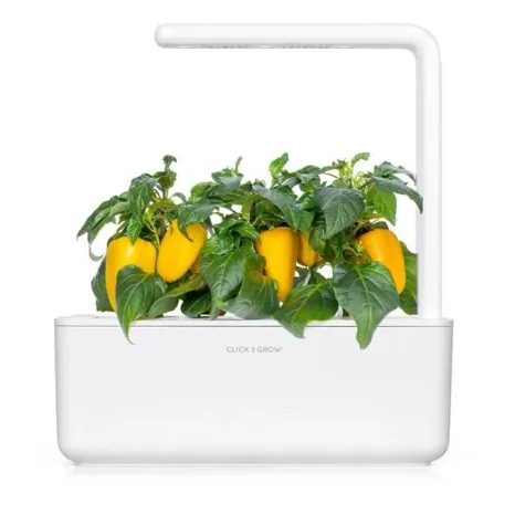 Kapsle Smart Garden - Sladká žlutá paprika, Click and Grow 6681 - 3