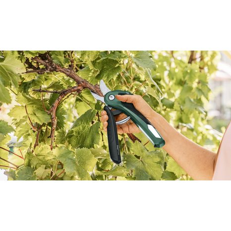 Aku záhradné nožnice Bosch Easy Prune 06008B2100 - 5