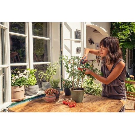 Ruční zahradní nůžky Gardena FreshCut s jmenovkami k bylinkám 12212-36 - 3