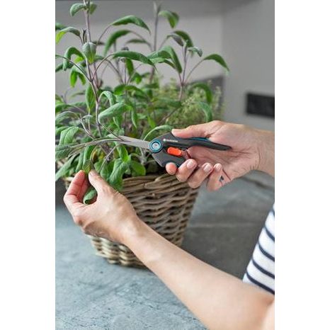 Ruční zahradní nůžky Gardena FreshCut s jmenovkami k bylinkám 12212-36 - 5