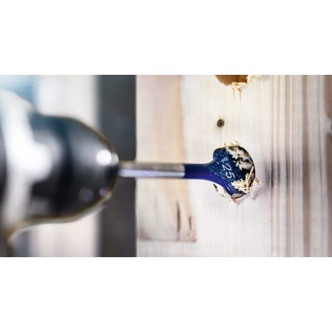 Plochý vrták do dřeva Bosch EXPERT 25 x 152 mm 1 ks 2608900322 - 5