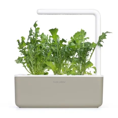 Kapsle Smart Garden - Rukola, Click and Grow 6679 - 4