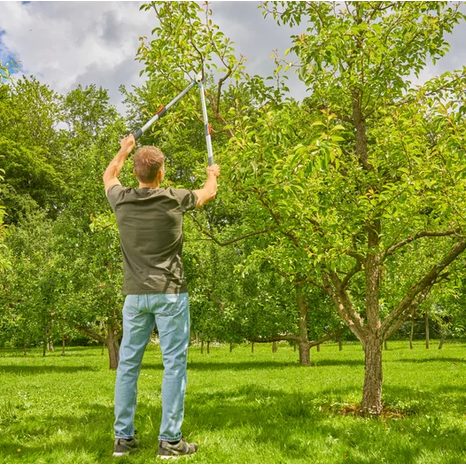 Pákové teleskopické zahradní nůžky Gardena TeleCut Basic 12020-20 - 4