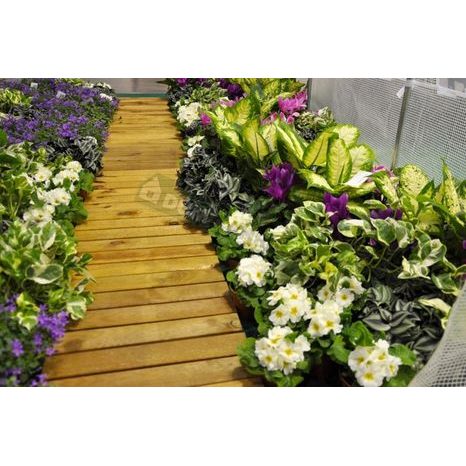 Zahradní fóliovník 3x8m VespaGarden - zelený - 6