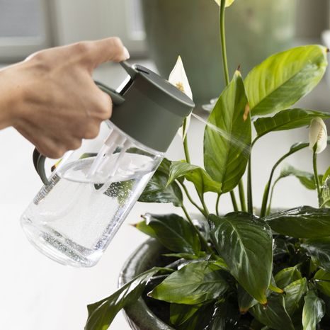 Karafa na zalévání a vlhčení Fiskars 1080774 - 2