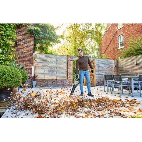 Aku fukar na listí EGO LB5800E - 5