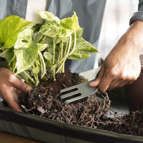 Sada nářadí na kultivaci Fiskars 3 ks 1080777 - 5