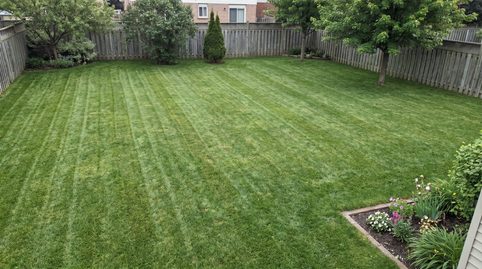 Robotická sekačka ničí trávník? 8 mýtů, které stále kolují v diskuzích