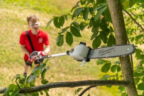 Prořezávač větví pomůže tam, kde nůžky nestačí. Jak vybrat ten správný?