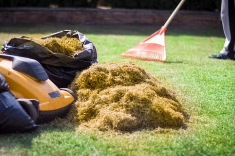 Dostaňte svůj trávník po zimě zpět do formy. Poradíme, jak na to