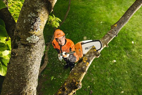 Jarabák vybírá: Nejlepší vyvětvovací pily pro pohodlný a bezpečný řez stromů