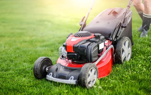 Jak vybrat správnou sekačku na trávu? Odpoví náš ucelený průvodce světem sekaček