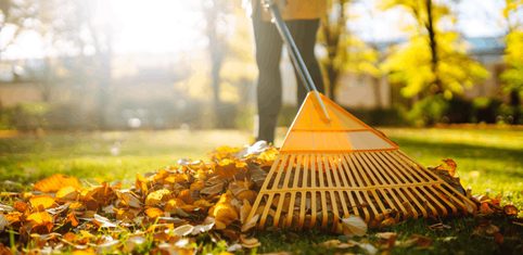 Jak připravit trávník na zimu?