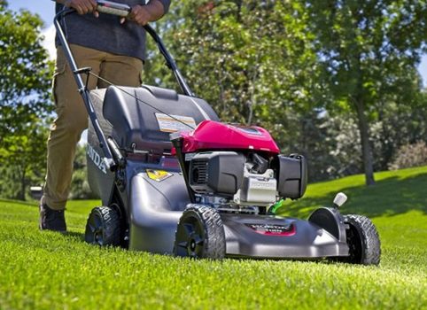 Jakou sekačku Honda vybrat? Přehled modelových řad a jejich výhody