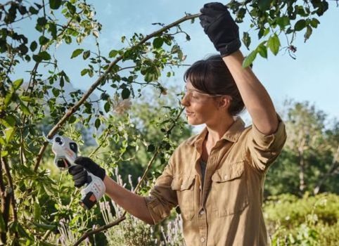 Jarabák vybírá: Nejlepší aku nůžky na větve pro vaši zahradu