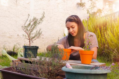 Začněte s výsadou bylinek a zeleného koření – je nejvyšší čas!