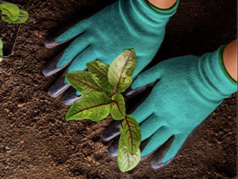 Nechcete ještě zazimovat zahrádku? Mrkněte, co do hlíny na podzim!