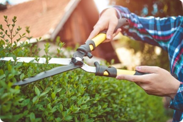 Ruční nůžky na živý plot