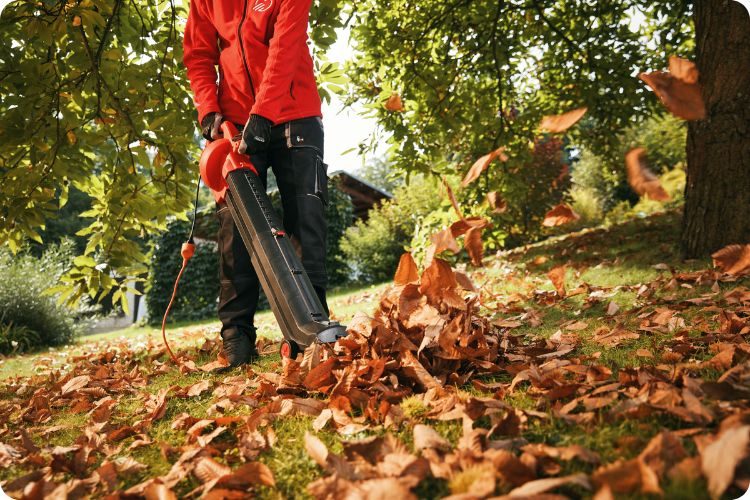 Úklid spadaného listí na podzim pomocí zahradního fukaru