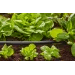 Pokládací trubka Gardena Micro-Drip Flex 13 mm (1/2") 15 m 1346-20 - 4