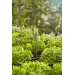 Prodlužovací trubka Gardena pro rozprašovací trysky 13326-20 - 3