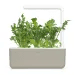 Kapsle Smart Garden - Rukola, Click and Grow 6679 - 4