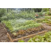 Startovací sada Gardena Micro-Drip pro záhony a okraje 40 m2 13450-20 - 4