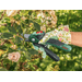 Aku zahradní nůžky Bosch EasyPrune 06008B2102 - 4