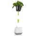 Samozavlažovací květináč Yula 14 cm, bílá + šedá, Lechuza 6174 - 2