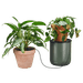 Zavlažovací sada pokojových rostlin Fiskars 1075319 - 3