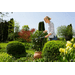 Nůžky na živý plot Gardena EasyCut 12301-20 - 4