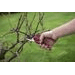Ruční zahradní nůžky Kreator KRTGR1002 - 3