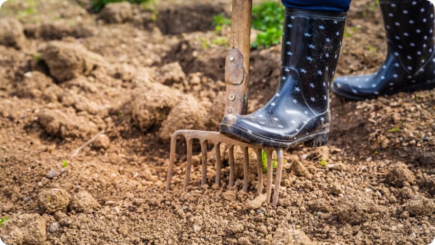 rytí půdy vidlemi při přípravě záhonů na zimu
