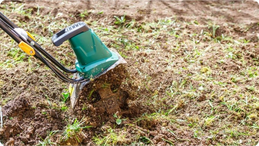 příprava záhonu na zimu - kypření půdy elektrickým kultivátorem