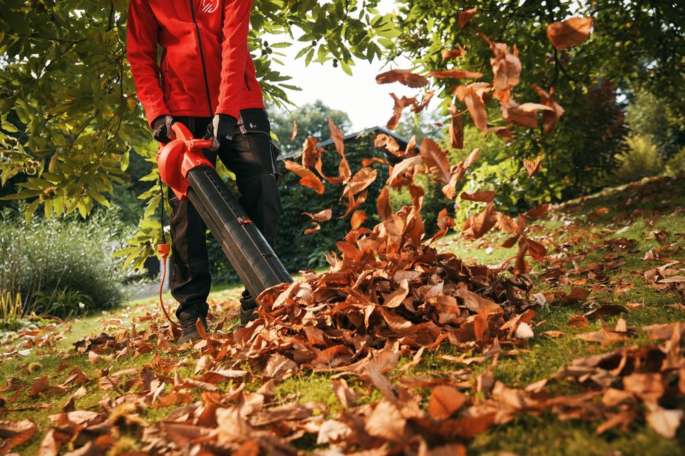 úklid spadaného listí