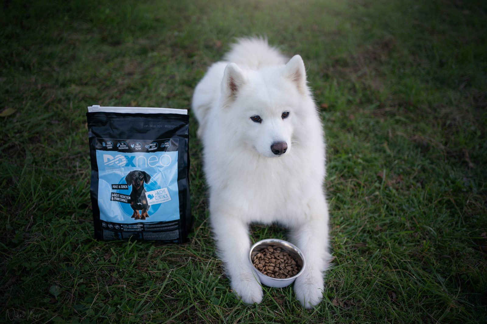 Solanine Poisoning In Dogs Are Potatoes In Dog Food Bad For Dogs 2025