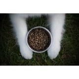 Doxneo Weight Control - redukce váhy 12kg