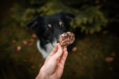 Doxneo beef lungs 500g