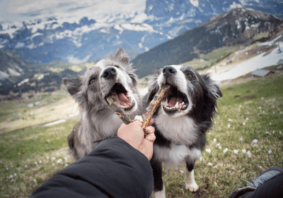 Doxneo kachní krky 500g