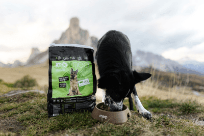 Doxneo Lamb - jehněčí bez obilovin 2kg
