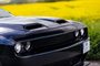 Dodge Challenger 2016