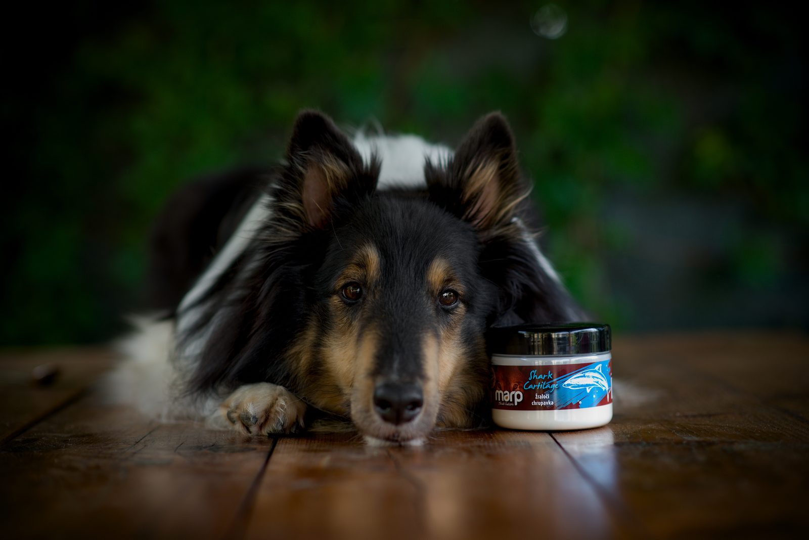 Marp | Shark Cartilage for Dogs | Natural Joint Support 100g