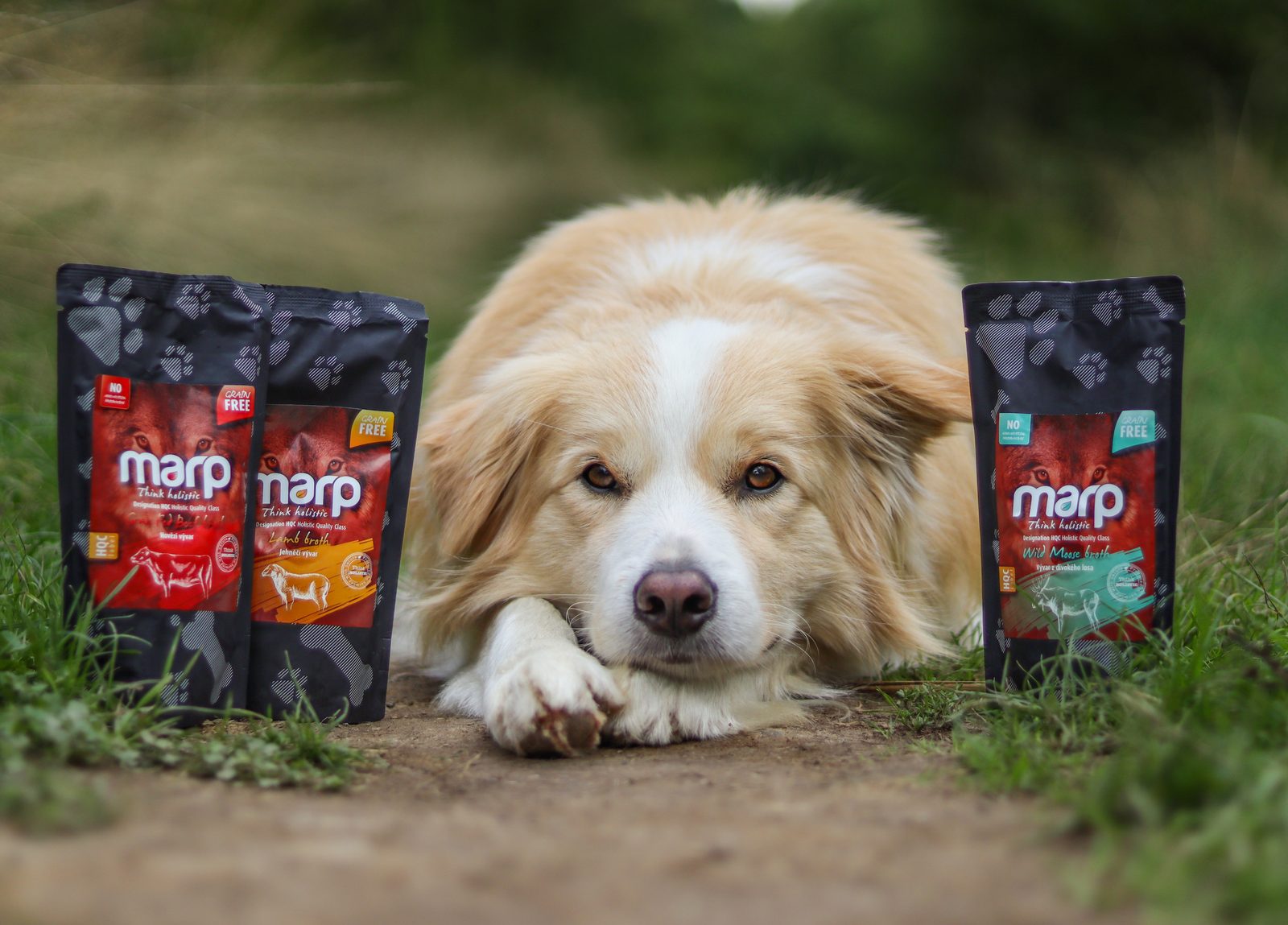 Marp | Marp Rinderbrühe 230ml - Hydratation für Hunde & Katzen