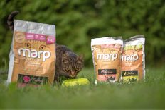 Vznik řady Marp Natural a kočičí řady Marp