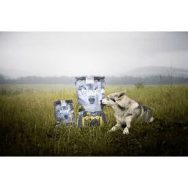 Marp Natural Plus Lamb 12kg