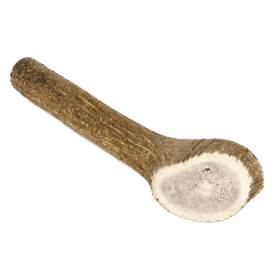 Marp Holistic - Jelení paroh celý L