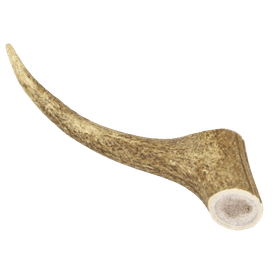 Marp Holistic - Jelení paroh celý XL